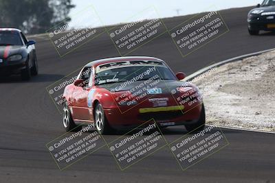 media/Feb-22-2025-CalClub SCCA (Sat) [[57201885c5]]/Group Two/Group 2B/